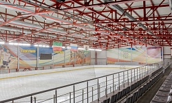 Спортивно-оздоровительный комплекс «Триумф» (МАУ "СШ" «Авиатор»)